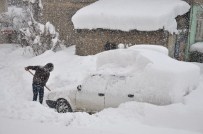 KÖY YOLLARI - Muş'ta Kar Yağışı