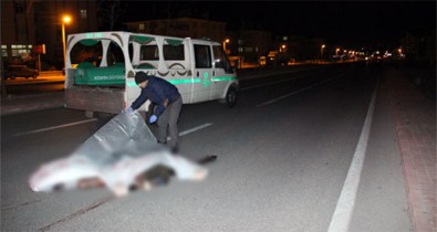 Senegalli Öğrenci Trafik Kazasında Hayatını Kaybetti