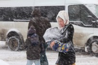 Yüksekova'da Kar Esareti