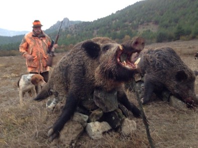 Avrupalı Avcılar Onlar İçin Türkiye'ye Geliyor