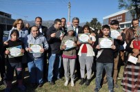 Engelliler Engelsiz Yaşam Korusuna Fıstık Çamı Fidanı Dikti