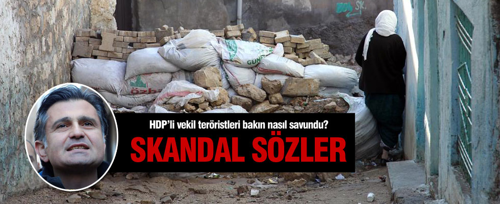 HDP'li vekil Ziya Pir hendekleri savundu
