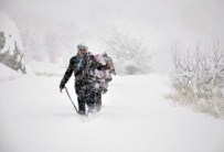 Minik Ecrin'i Kurtarma Operasyonu