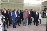 ERDOĞAN KANYıLMAZ - Saruhanlı'da Zeytin İşleme Tesisi Törenle Açıldı