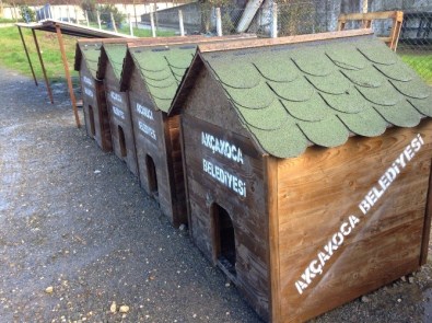 Akçakoca'da Hayvanlar Daha Sağlıklı Ortamlarda