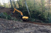 Gölyaka'da Doğal Gençleştirme Çalışmaları Tamamlandı