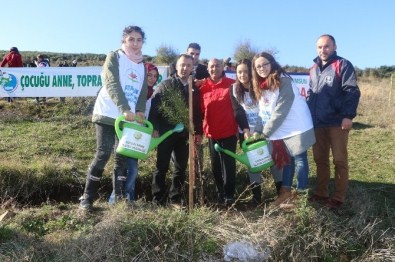 Gönüllü Gençlerden 200 Fidan