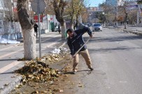 TİLLO - Siirt'te Yaprak Temizliği