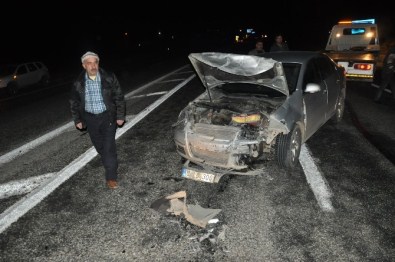 Otomobiller Domuz Sürüsüne Çarptı Açıklaması 2 Yaralı