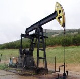 TPAO'ya, Tekirdağ Ve Dıyarbakır'da Petrol Arama Ruhsatı