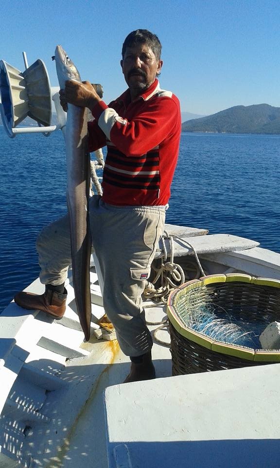 Oltaya 2.5 metre uzunluğunda dev takıldı!