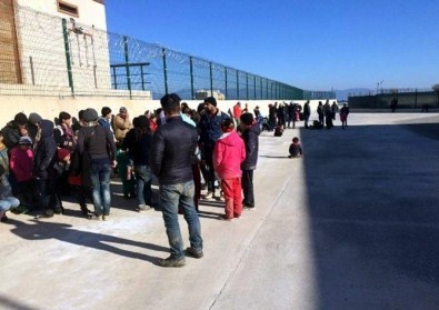 Aydın'da 181 Suriyeli Göçmen Yakalandı