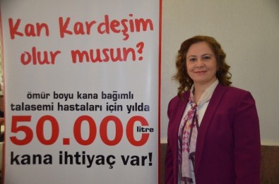 'Kök Hücre Kardeşliği'