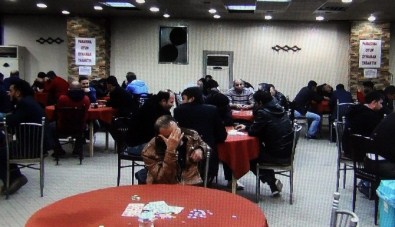 Kumar İçin Siyasi Parti, Sendika, Dernek, Kooperatif Kurdular