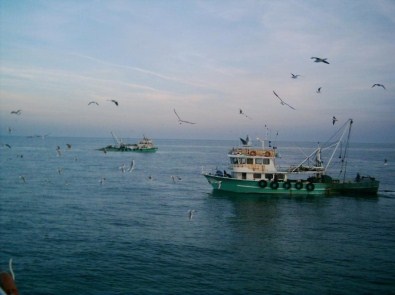 Marmara Denizi'nde Trol Yeniden Hortladı