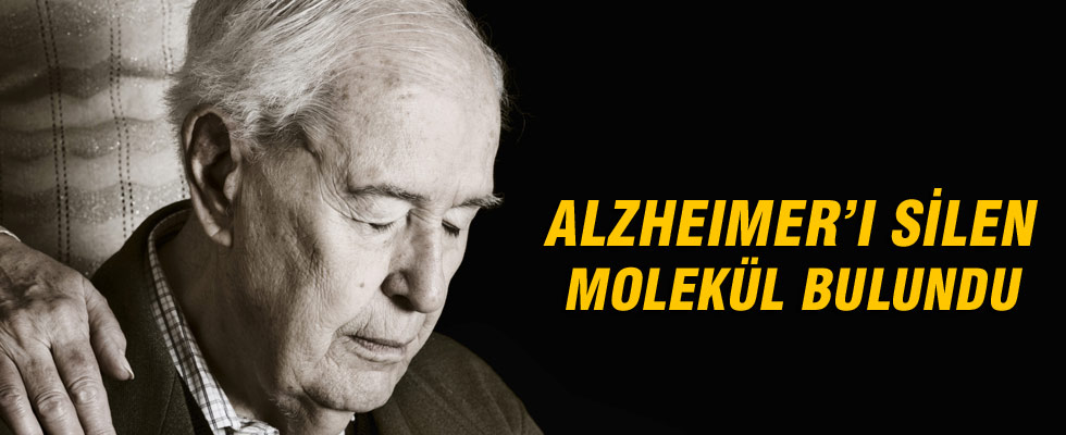 Alzheimer'ı temizleyen molekül bulundu