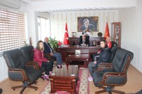 Balkan Şampiyonu Osmaneli'den