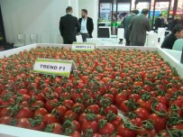 Büyükşehir, Kadın Çiftçileri Fuara Götürdü