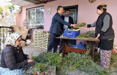 Çiçekköy'e Dönen Zeytinköy'e Uysal'dan Ziyaret