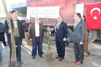 OSMAN AYDıN - Çiftçilere Ceviz Fidanı Dağıtımı Yapıldı