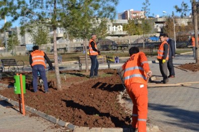 Kahta'da Parklarda Çimleme Çalışması