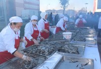 HAMSİ ŞÖLENİ - ODÜ'de Hamsi Şöleni