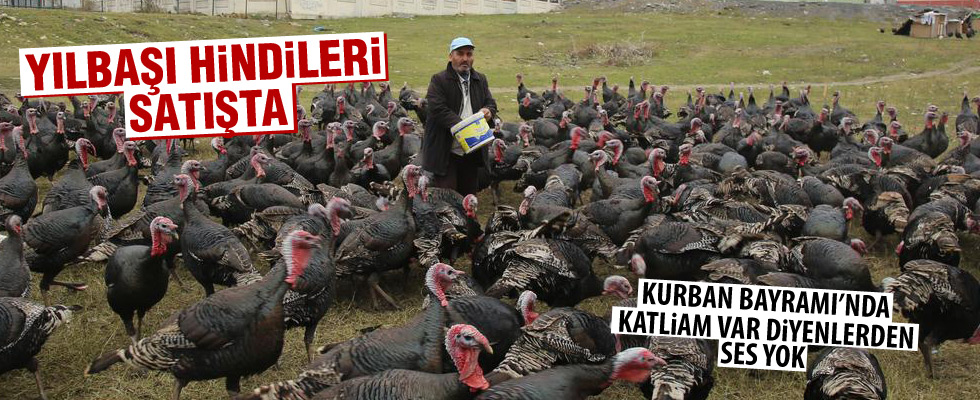 Yılbaşı hindileri satışa sunuldu