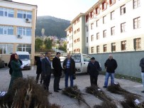 1360 Ceviz Fidanı Dağıtıldı