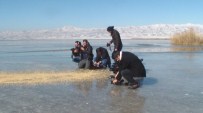 ERÇEK GÖLÜ - Erçek Gölü Buz Tuttu