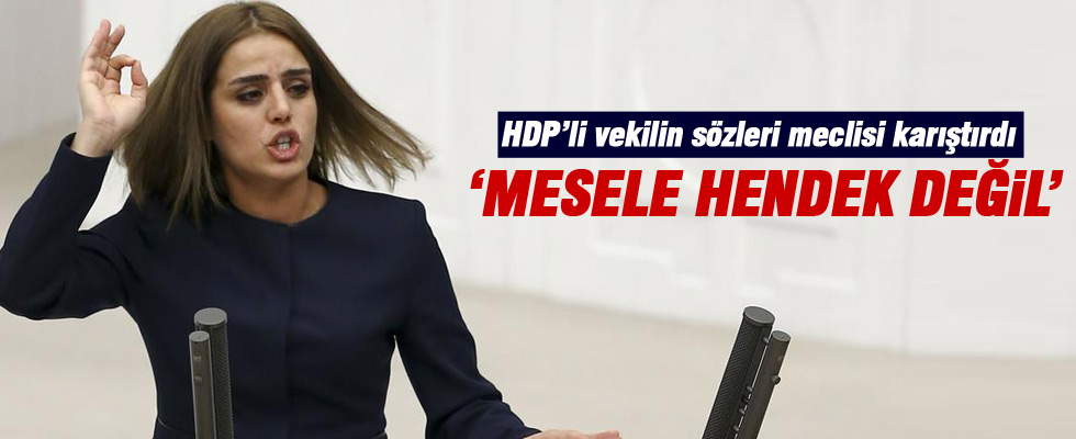HDP'li vekilden Meclis'te skandal Kürdistan çıkışı