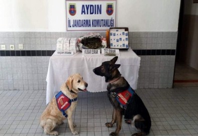 Otobüsle Uyuşturucu Ve Kaçak Sigara Naklini Jandarma Engelledi