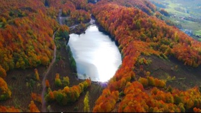 'Sonbahar'da Ordu'ya Büyük İlgi