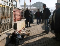 Yılbaşı Hindileri Satışa Çıktı