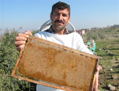 Araban’da Üretilen Organik Bala Yoğun Talep