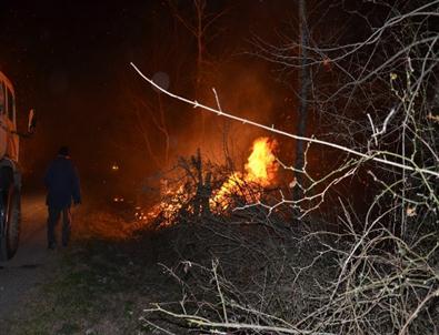 Bafra'da Orman Yangını