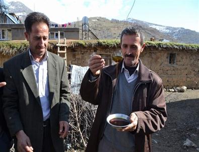 Don Pekmezi De Vurdu