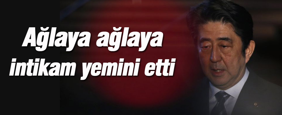 Japon Başbakan Şinzo Abe: Bedelini ödeteceğiz