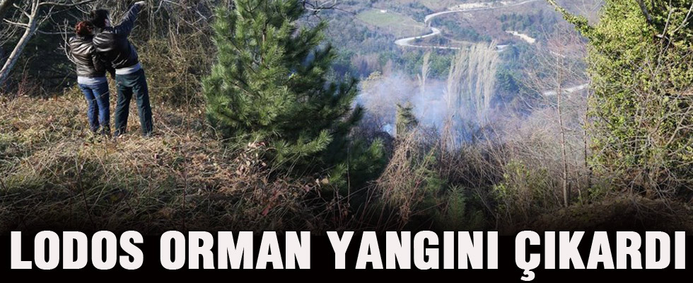 Lodos orman yangını çıkardı