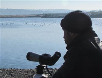 Şanlıurfa’da Da Kuşlara Nüfüs Sayımı Yapıldı
