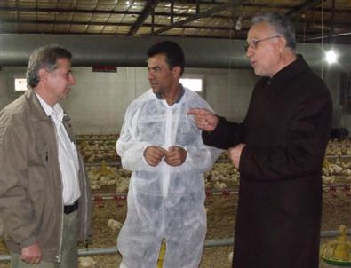 Birlik Başkanı Aktaş’tan Tavuk Üretim Çiftliklerine Denetim