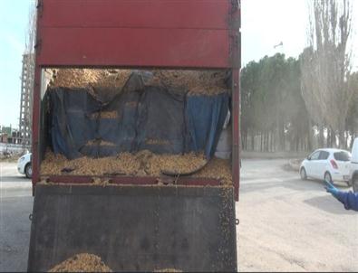 Gaziantep’te 153 Bin Paket Kaçak Sigara Ele Geçirildi