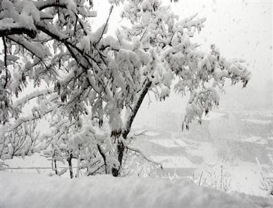 Hakkari Kar Altında