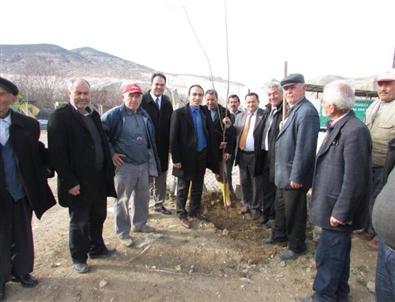 Köylerde Fidan Seferberliği