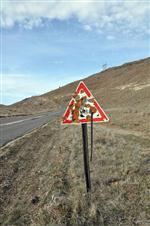 TRAFİK LEVHASI - Trafik Levhaları Maganda Kurbanı