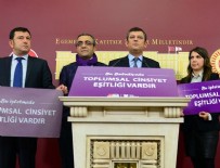 SIĞINMA EVİ - Chp'den 'Mor Bayrak' Projesi