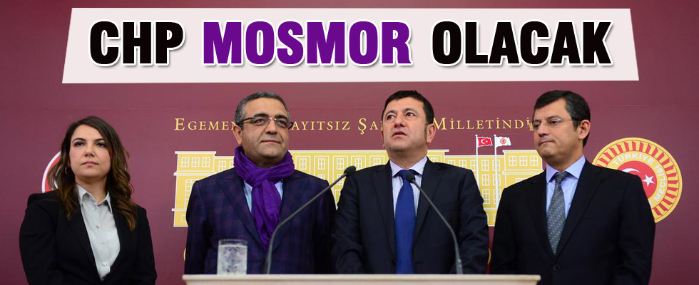 Chp'den 'Mor Bayrak' Projesi