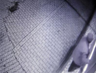 Hırsız Güvenlik Kamerasında