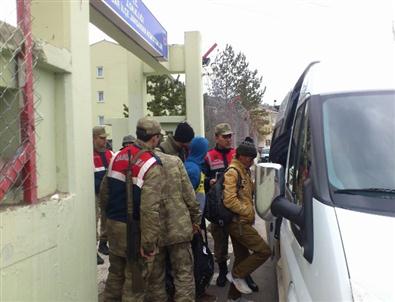 Koyulhisar’da 13 Kaçak Göçmen Yakalandı