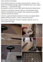 SİGARA İZMARİTİ - Üniversite Öğrencisinden Duyarlılık Kampanyası