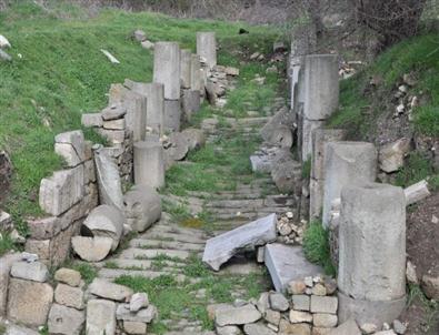 Karaca Açıklaması